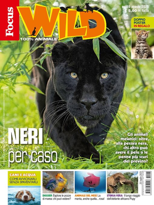 Title details for Focus Wild  by Mondadori Media S.p.A., S.L.L. - Available